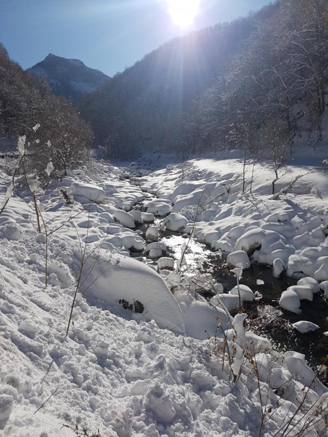 Chalets Mongioie Pra Di Roburent San Giacomo  Exteriér fotografie